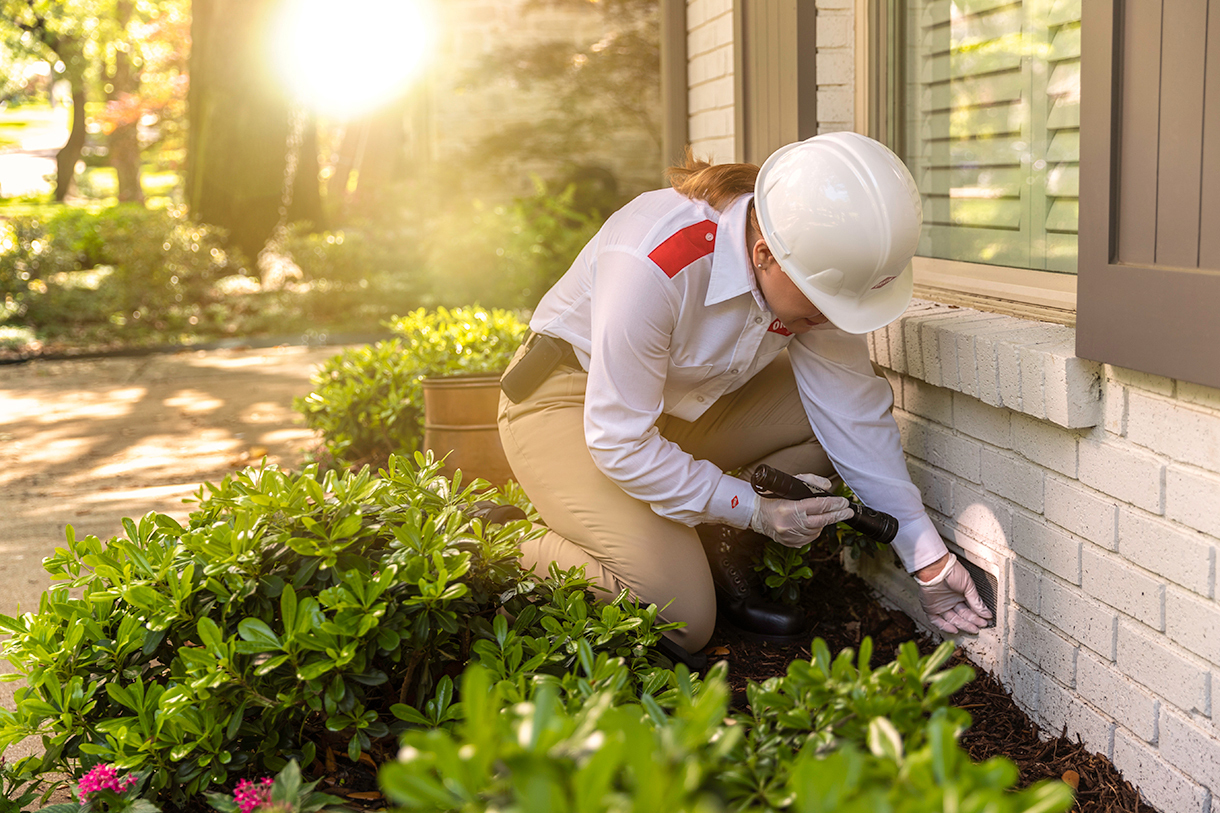 How Can You Find the Best Pest Control Service in Edmond OK?